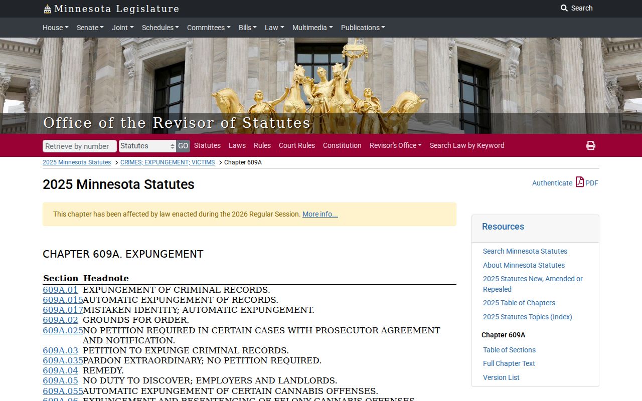 Lyon County criminal docket expungement and sealed-record access source