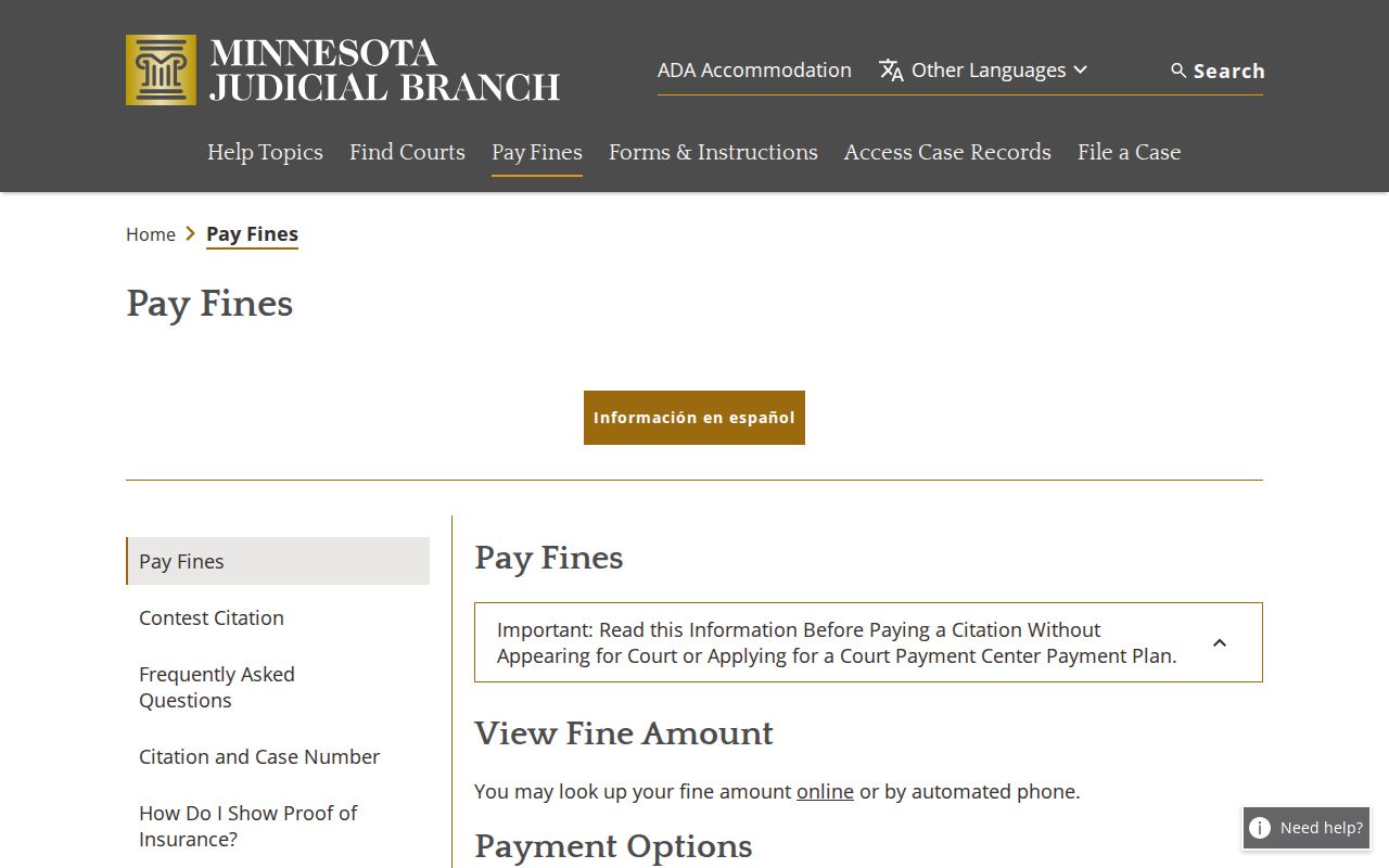 Lyon County traffic ticket court record payment guidance